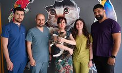 Diyabet hastalarına umut veren haber