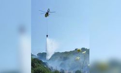 Kuşadası'nda orman yangını