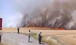 Diyarbakır’da bin dönümlük buğday ve arpa kül oldu!