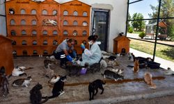 Diyarbakır’ın 'can' kurtaran merkezi