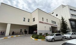 Kene bir can daha aldı