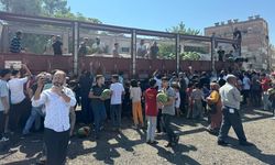Vatandaşa 27 ton karpuz dağıttı