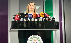 DEM Parti, PKK’nin silah bırakacağı tarihi açıkladı