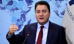 Babacan: Silah bırakmayı memnuniyetle karşıladım