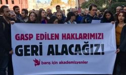 Barış Akademisyenleri için Danıştay’dan karar