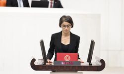 Diyarbakır’da kayyumun devrettiği kompleks Meclis’te
