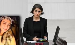 DEM’li vekil, Diyarbakır’daki kadın cinayetini sordu