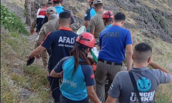 Dersim’deki Düzgün Baba’da ekipleri seferber eden olay