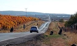 Diyarbakır’a müjde: 11 km’lik yol programa alındı
