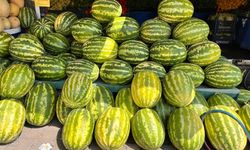 Diyarbakır'da karpuz, sudan ucuz