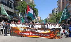 Diyarbakır'da Leman protestosu