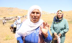 Diyarbakır’ın Hesendîn Yaylası ölmek istemiyor!