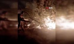Diyarbakır'da Lice’den sonra Ergani’de orman yangını