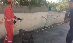 Evin bahçesine giren yılanı itfaiye yakaladı