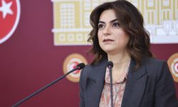 DEM Parti’den orman yangınları ile ilgili sert çıkış!