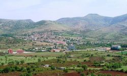 Diyarbakır’ın Hazro ilçesine müjde!