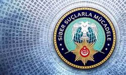 İçişleri Bakanı açıkladı: 179 kişi yakalandı