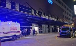 Düğün dönüşü kavga: 3 ölü