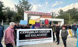 Kayyumlara yargı freni: Bölge İdare Mahkemesinden emsal karar