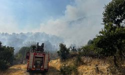 Diyarbakır Lice’deki yangında 350 dönümlük alan kül oldu