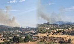 Lice’de yangın zinciri: Duman ilçeyi sardı, halk tedirgin