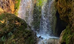 Saklı bir cennet: Hacıkodal Kocabor Şelalesi