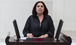 Diyarbakır vekili “Geçinemiyor” dedi, sorunu meclise taşıdı