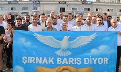 Şırnak’ta 55 sivil toplum örgütü: Bu tren kaçmamalı