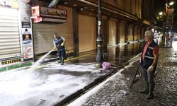 Tarihi Sur ilçesi lavanta kokacak