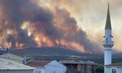 Tekirdağ'daki orman yangını evlere sıçradı: 2 mahalle tahliye edildi