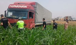 Mardin'de bir anda tarlaya daldı: Polis ve itfaiye harekete geçti!