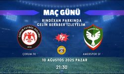 Amedspor maçı için belediyeden karar: Dev ekran kuruluyor