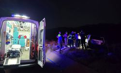 Bingöl'de akıl almaz kaza; otomobil ata çarptı: 2 yaralı