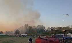 Çalılıkta başlayan yangın yürekleri ağza getirdi