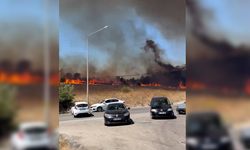 Çanakkale'de orman yangını, havadan ve karadan müdahale başladı