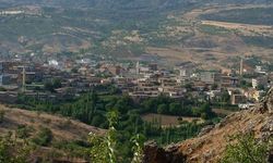 Dünyanın şifa aradığı yer Diyarbakır Çermik’te