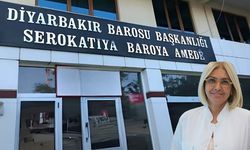 Diyarbakır Barosu ile kadın Profesör arasında, "Hırtlar Vadisi" krizi