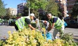 Diyarbakır Kayapınar’da eşbaşkanlar temizlik mesaisinde