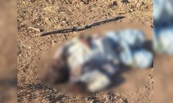 Diyarbakır Lice kırsalında ceset bulundu
