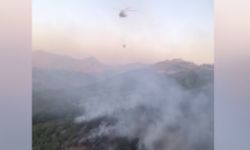 Diyarbakır Lice kırsalında çıkan yangın söndürüldü