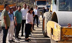 Diyarbakır Lice’de eski yola neşter atıldı!