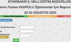 Diyarbakır Norm Kadro Fazlası Öğretmenler için Ağustos 2025 Atama ve Başvuru Ekranı