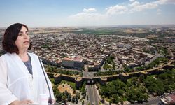 DEM Parti’den Diyarbakır önergesi: Çevresel felaket var!