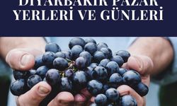 Diyarbakır Pazar Yerleri ve Günleri (2025): Bugün Nerede Pazar Var? İlçelerin Tam Listesi
