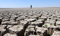 Diyarbakır'da 12 ay olağanüstü kuraklık!