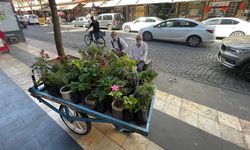 Diyarbakır'da 5 yıldır ekmeğini çiçekten çıkarıyor