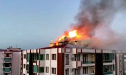 Diyarbakır’da anne ve 3 çocuğunun öldüğü yangında önemli gelişme