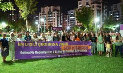 Diyarbakır'da kadınlar, şölen için broşür dağıttı