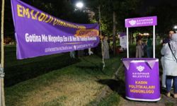 Diyarbakır'da kadınlar, bir dokundu, bin ah işitti!