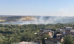 Diyarbakır’ın Hevsel Bahçeleri’nde korkutan yangın